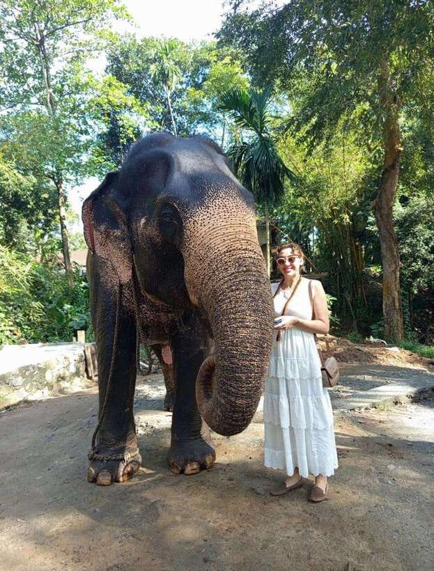 From Colombo or Negombo: Pinnawala, Kandy & Tea Factory Tour - Kandy begins at Bahirawakanda Temple