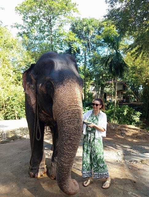 From Colombo or Negombo: Pinnawala, Kandy & Tea Factory Tour - The Temple of the Sacred Tooth Relic