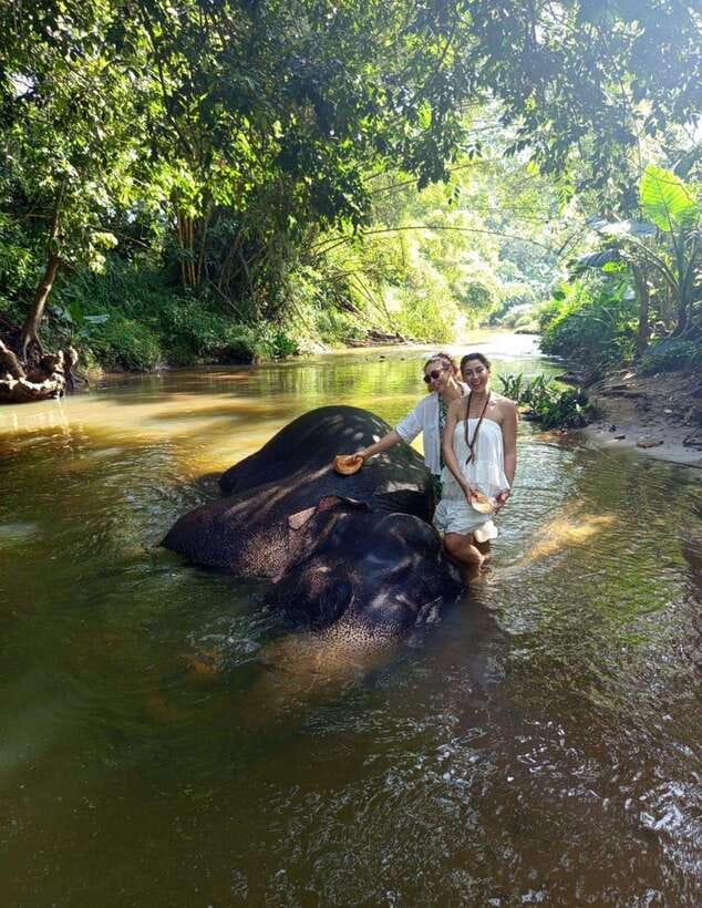 From Colombo or Negombo: Pinnawala, Kandy & Tea Factory Tour - The driver can shape the whole experience