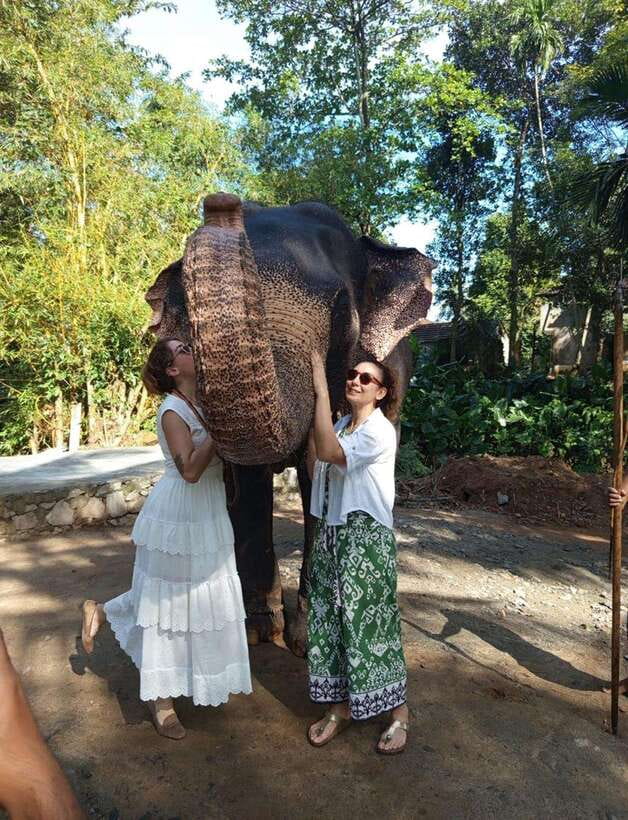 From Colombo or Negombo: Pinnawala, Kandy & Tea Factory Tour - Pinnawala and the elephants by the river