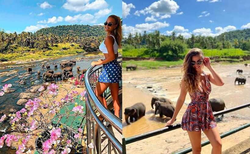 From Colombo: Pinnawala & Tea factory with Kandy Hotel Drop - What the $60 fare really covers