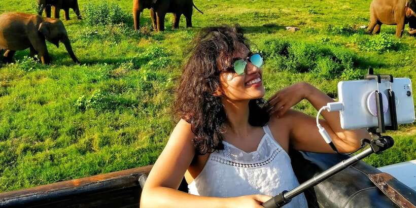 From Colombo: Private Minneriya National Park Day Safari - Four to five hours through Sri Lanka’s interior
