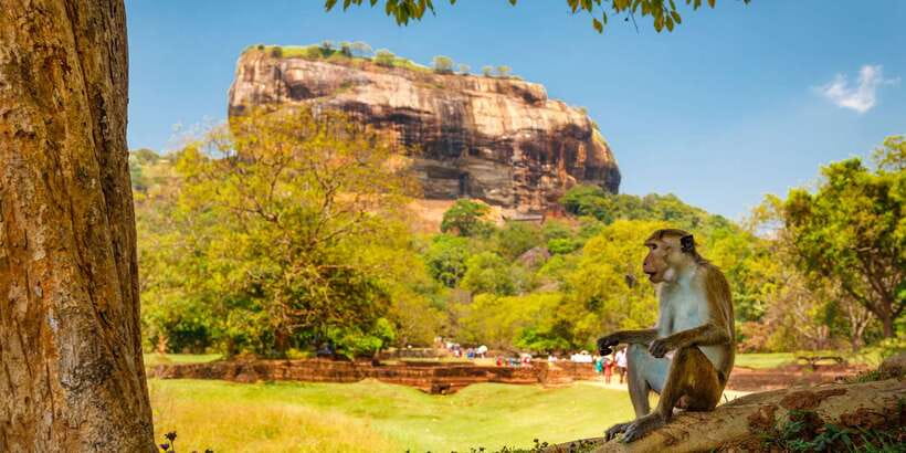 From Colombo: Sigiriya and Dambulla Day Trip with Safari - Climbing Sigiriya’s 1,250 steps