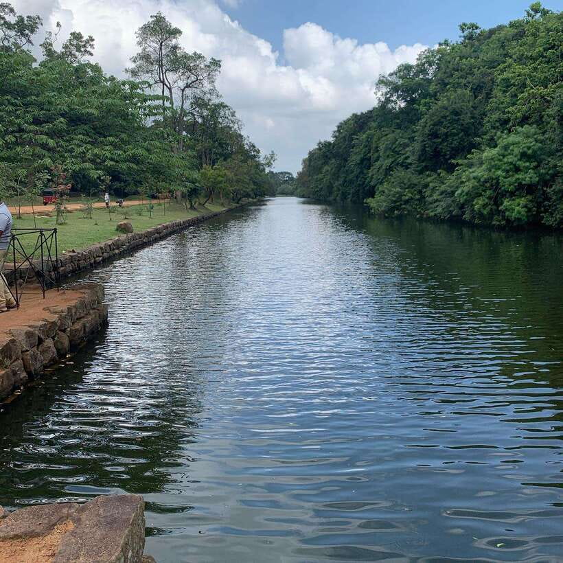 From Colombo: Sigiriya Rock, Dambulla & Minneriya 4x4 Safari - Four hours in a national park