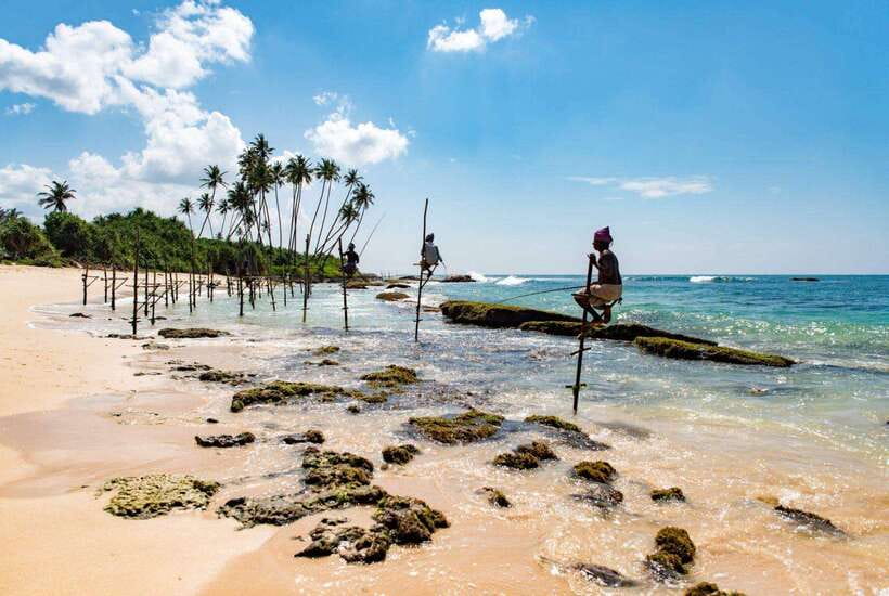 From Colombo to Galle Fort and Jungle Beach Day Trip - Why this Colombo to Galle day trip works