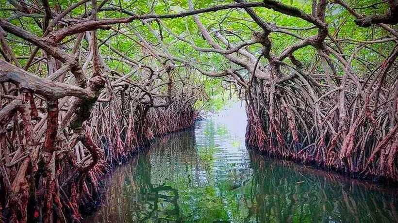 From Colombo to Galle Fort and Unawatuna Beach Day Trip - What the $48 price really buys you