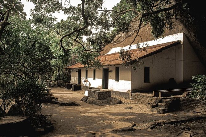 From Colombo to Sigiriya Fortress, Dambulla & Minneriya Safari - Who should book this day trip?
