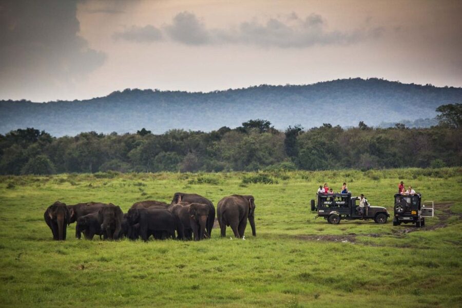 From Colombo: Udawalawa Safari & Elephant Transit Home Tour - Is $128 a fair price?