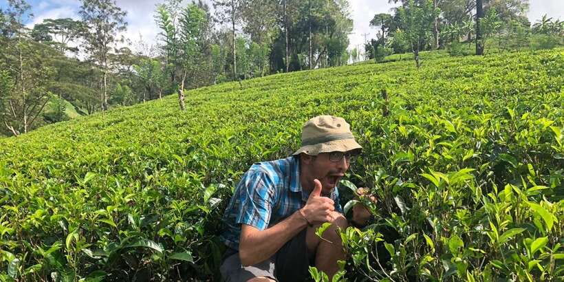From Colombo: Virgin White Tea and Galle City Tour - Ahangama adds a short coastal pause