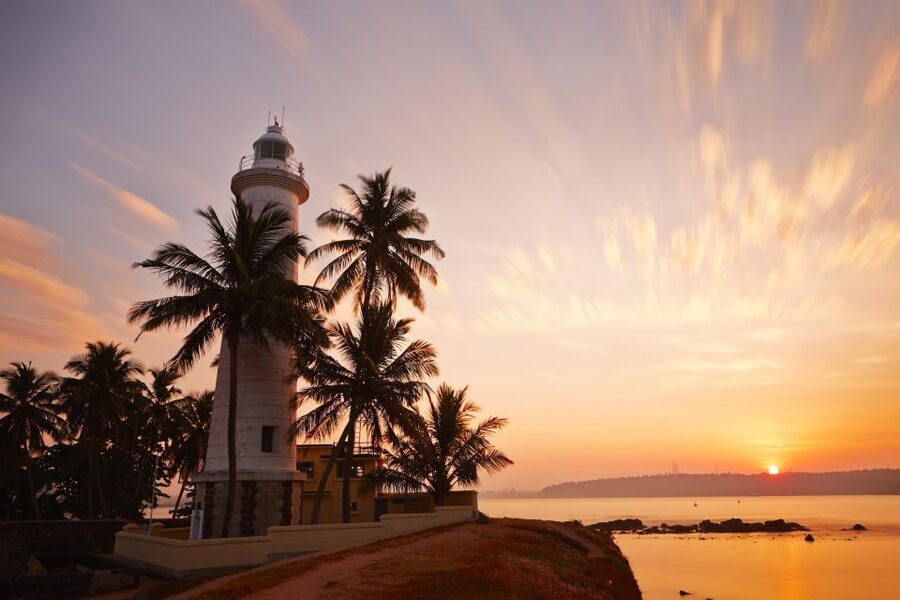 From Colombo: Virgin White Tea and Galle City Tour - Who will enjoy this day most