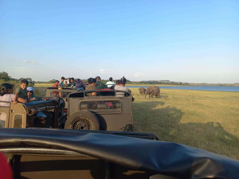 From Dambulla: Minneriya National Park wild Jeep Safari - Three hours inside Minneriya National Park
