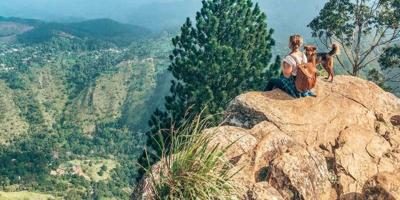 From Ella- All inclusive Day Trip of 8 Iconic Sights & Train - The Demodara to Ella train ride is the day’s most atmospheric hour