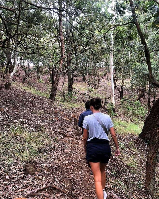 From Ella- All Inclusive Day Trip to Experience Ella & Train - Lunch, Drinks, and the Day’s Comfort Level