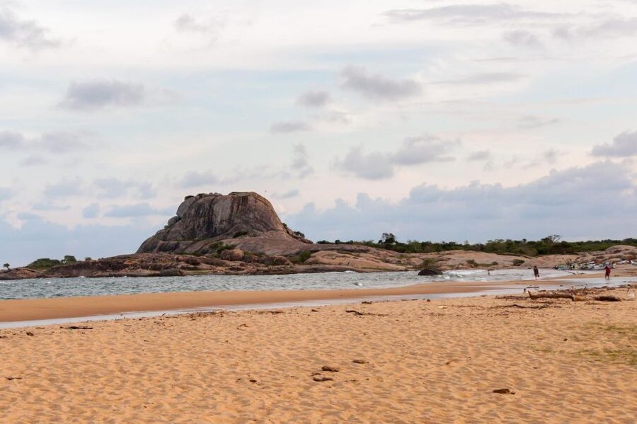 From Ella: Drop to Tangalle/Hiriketiya/Mirissa & Yala Safari - Leopards, elephants, and the wildlife you may see