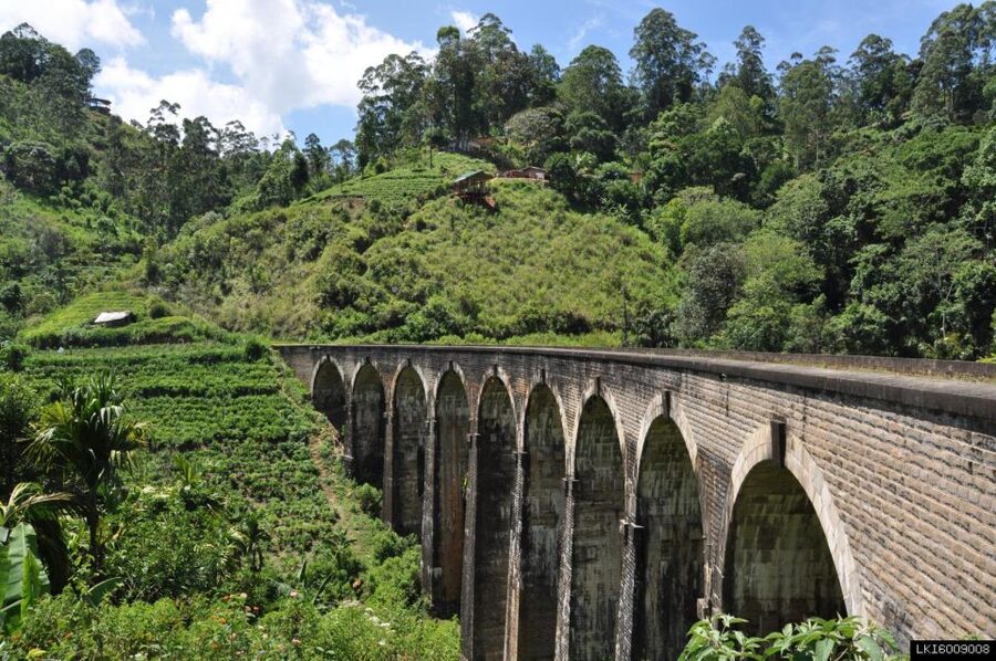 From Ella: Little Adam’s Peak and Nine Arches Bridge Hiking - Fitness, clothing, and practical limits