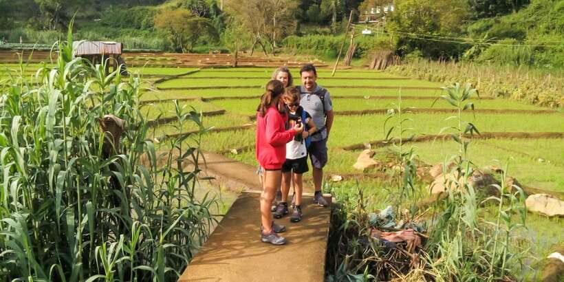 From Ella: Little Adam’s Peak and Nine Arches Bridge Hiking - Who should book this Ella hike?