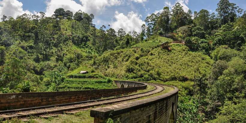 From Ella: Little Adam’s Peak and Nine Arches Bridge Hiking - Should you book it?