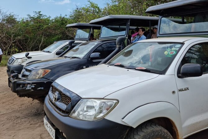From Ella: Private Yala Safari & Transfer/Tangalle/Mirissa/Galla - Is the price fair?