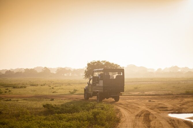 From Ella: Private Yala Safari & Transfer/Tangalle/Mirissa/Galla - What the seven-hour itinerary feels like