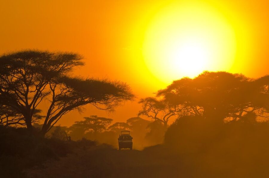 From Ella: Shuttle to Down South Any Location w Yala Safari - Should you book the Ella to Yala transfer?