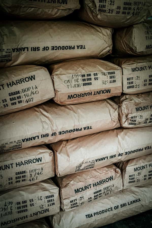 From Ella: Tea Adventure in Haputale with Village Lunch - Inside the working tea factory