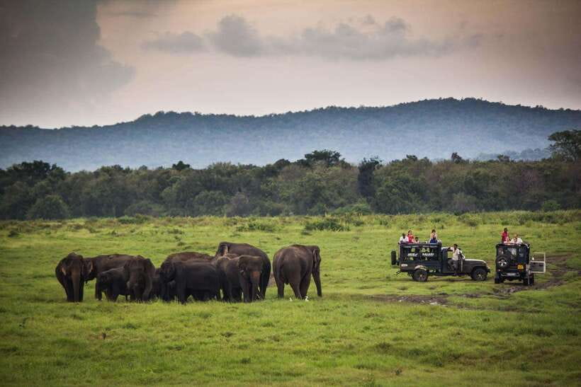 From Ella: Udawalawa Safari and Tangalle/Hiriketiya Transfer - My take on the Ella to Udawalawe transfer