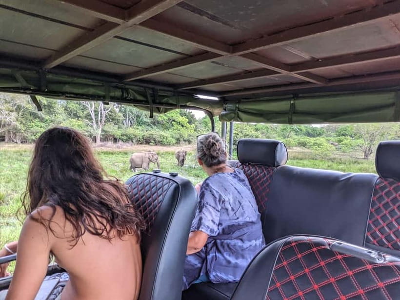 From Ella : Udawalawa Safari & Drop Tangalle/ Mirissa/ Galle - The transfer to Mirissa, Galle, or Hikkaduwa
