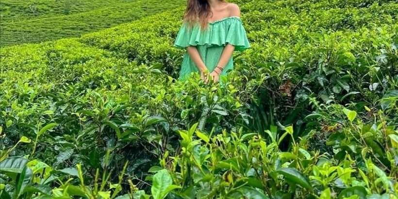 From Ella -Unforgettable Day Trip of 8 Sights & Train - Demodara Loop explains Sri Lanka’s railway engineering