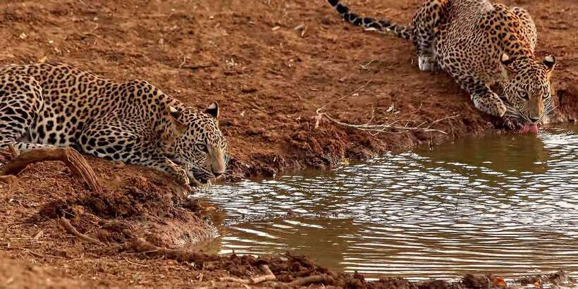 From Ella: Yala National Park Jeep Safari Tour - The road from Ella to Yala