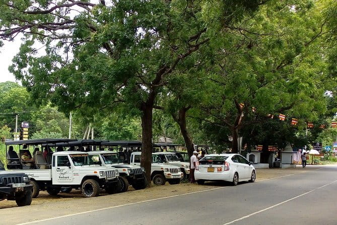 From: Ella - YALA Safari - Drop off: Arugam Bay / Arugambay - The second one-hour game drive