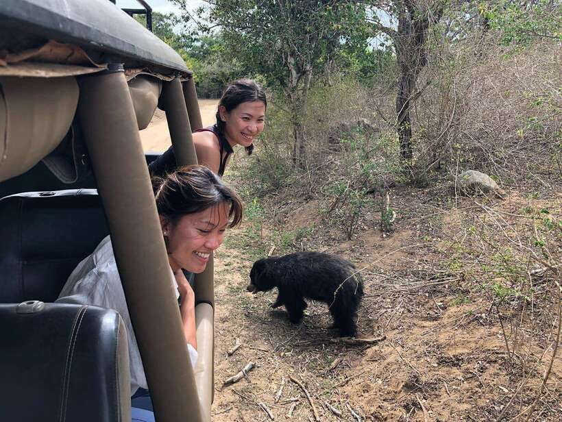 From Ella: Yala Safari Tour with Drop at Tangalle/Hiriketiya - Four hours inside Yala National Park