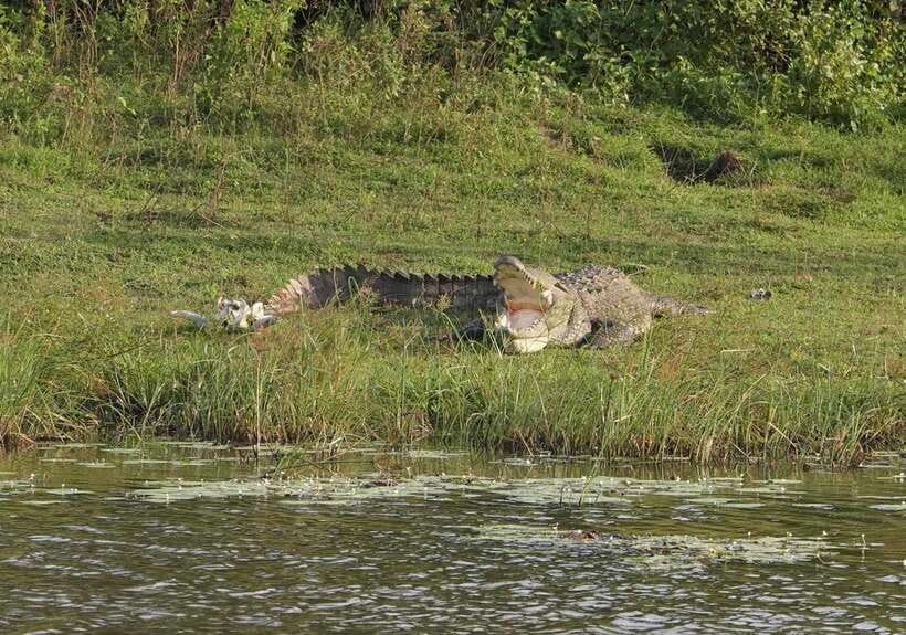 From Ella: Yala Safari Tour with Drop at Tangalle/Hiriketiya - The two-hour transfer before Yala