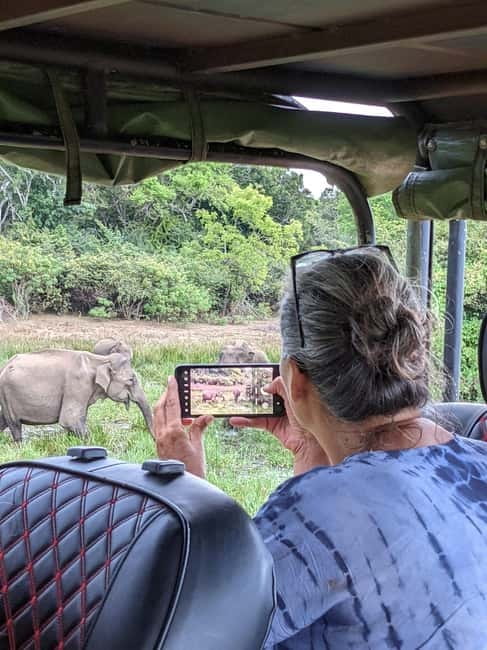 From Ella: Yala Safari & Transfer to Tangalle/Mirissa/Galle - Leopards, crowds, and the limits of luck