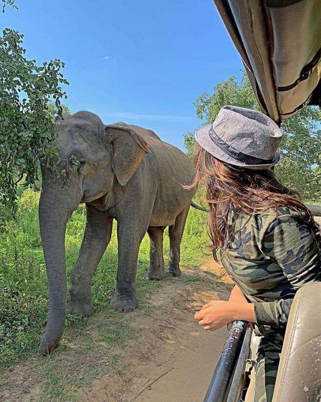 From Ella: Yala Safari with Tangalle/Mirissa/Galle Drop-off - What the road transfer is like