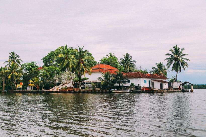 From Galle: Exclusive Madu River Safari & Turtle Hatchery - From Galle to Madu Ganga by private car