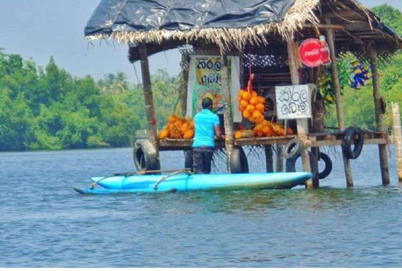 From Galle: Exclusive Madu River Safari & Turtle Hatchery - Cinnamon Island and the work behind the spice