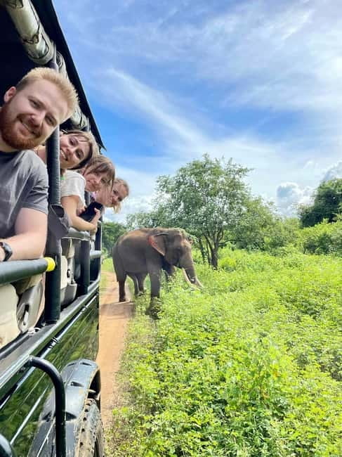 From Galle/ Mirissa/ Tangalle : Udawalawa Safari & Drop Ella - From the south coast to Udawalawe