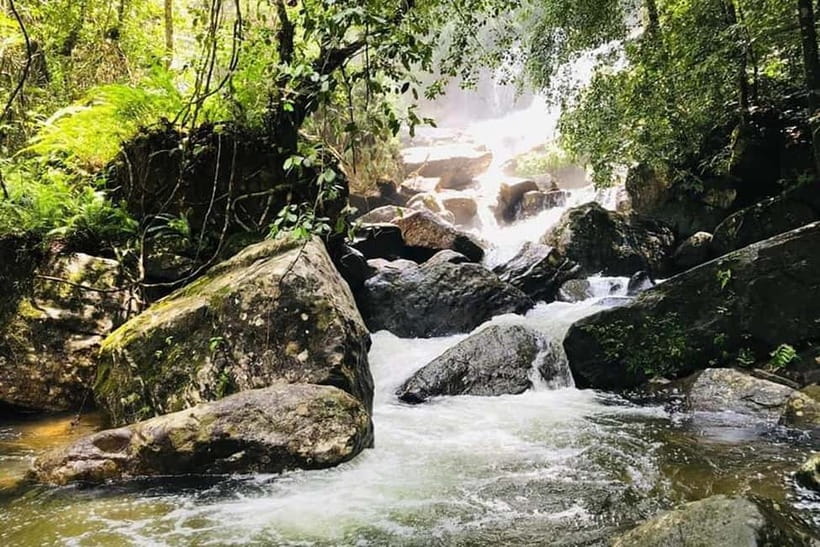 From Galle/Weligama/Mirissa/Matara: Day Trip to Sinharaja - Why Sinharaja makes a fine change from the beach