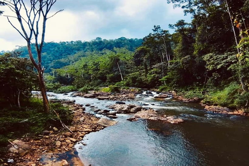 From Galle/Weligama/Mirissa/Matara: Day Trip to Sinharaja - What the guide adds to the experience