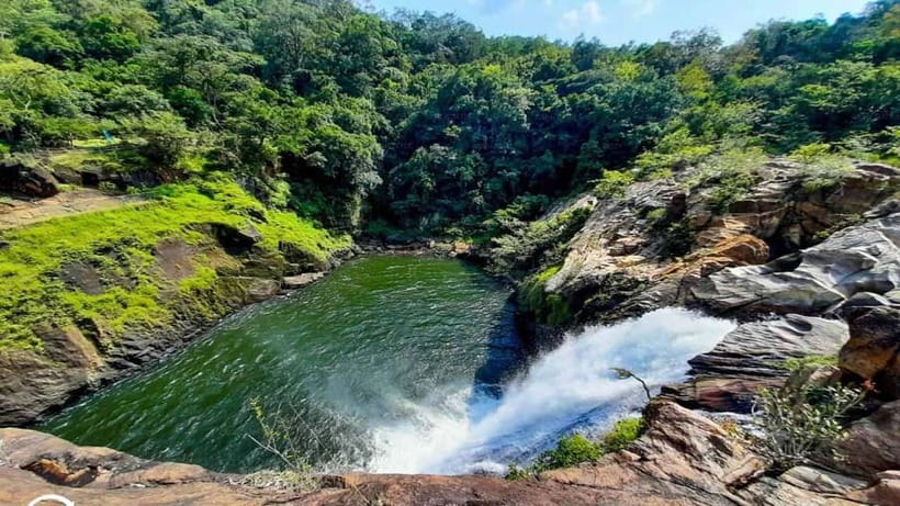 From Galle/Weligama/Mirissa/Matara: Day Trip to Sinharaja - Walking into the Sinharaja forest