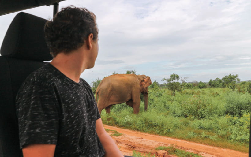 From: Hiriketiya/ Tangalle - Udawalawe Safari - To: Ella - Afternoon safari: useful for late risers