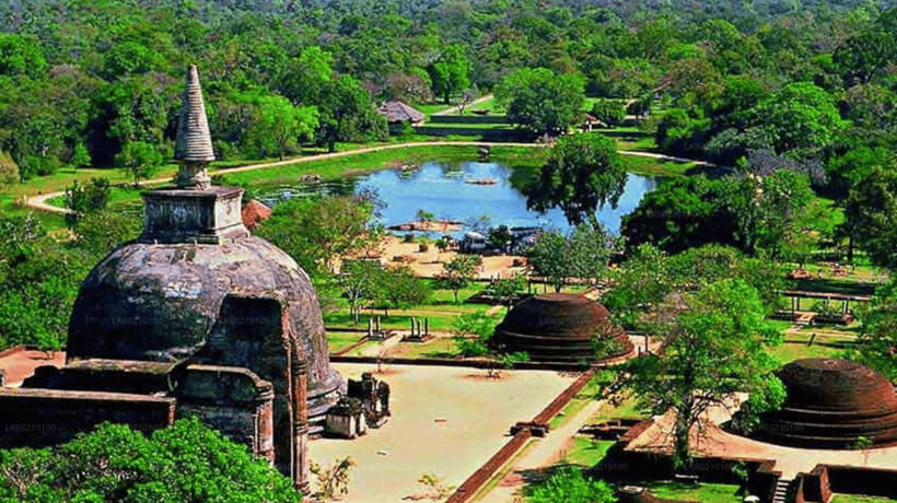 From Kandy: Anuradhapura Day Trip with Lunch - Sri Maha Bodhi Tree: begin with a living place of worship