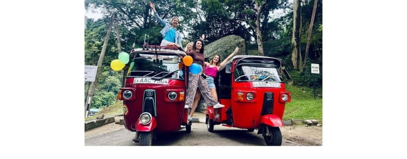 From Kandy: Dambulla to Sigiriya Day Tours - Minneriya National Park and Thalkote Wewa