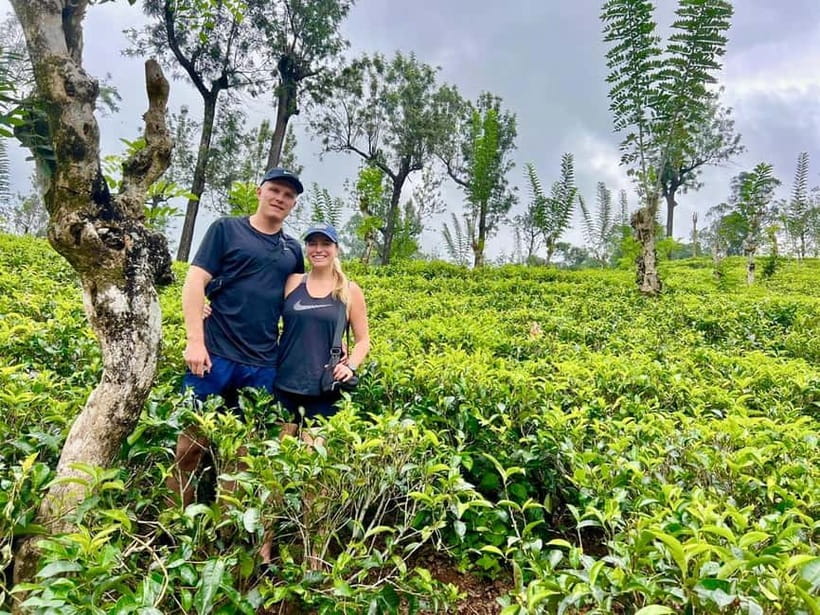 From Kandy: Ella Drop Tour via Nuwara Eliya - The final run to Ella