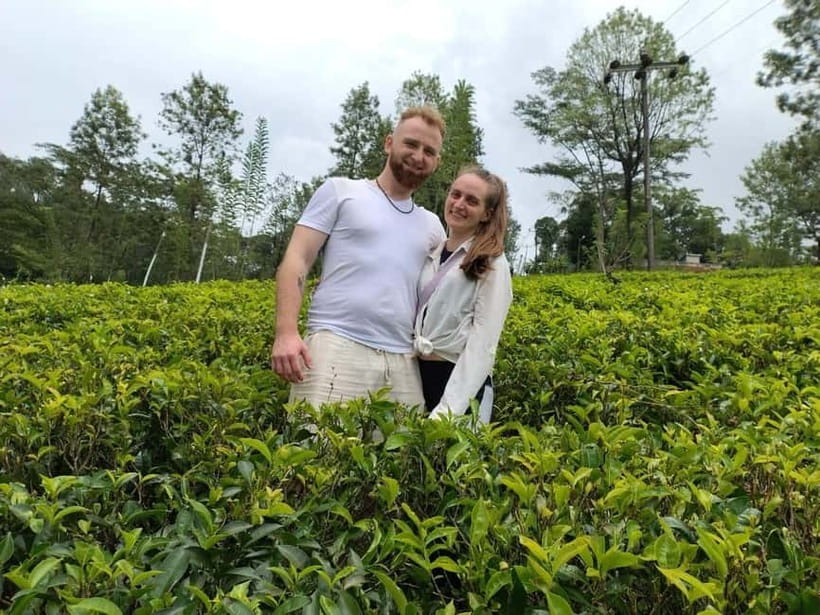 From Kandy: Ella Drop Tour via Nuwara Eliya - What the drivers add to the day