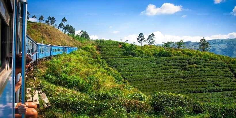 From Kandy: Nuwara Eliya by Train - Should you book the Kandy to Nuwara Eliya day trip?