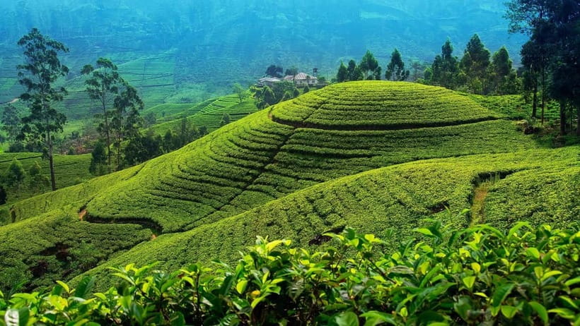 From Kandy: Nuwara Eliya Tour via Ambuluwawa [Private Tour] - Why this Kandy to Nuwara Eliya route works