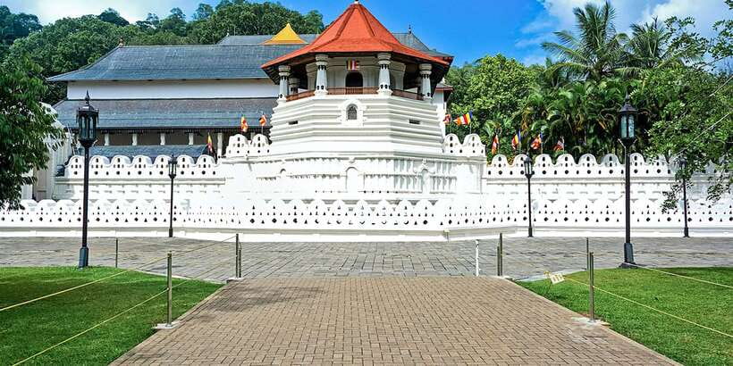From Kandy: Pinnawala Day Tour - Key points to know before booking