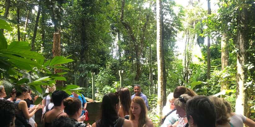From Kandy: Pinnawala Day Tour - The guide can make or break the schedule