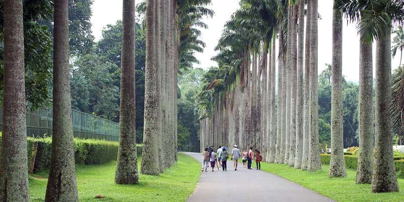 From Kandy: Pinnawala Day Tour - Why the Pinnawala stop carries the day